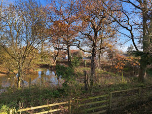 Photo 6- click for photo gallery